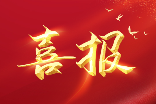 喜报 | mk恩波利足球俱乐部荣登2024粤港澳大湾区企业创新力榜单